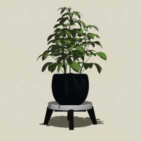 ����ֲ��-Sketchup��ͼ��ʦEnscape����ģ��2022051126