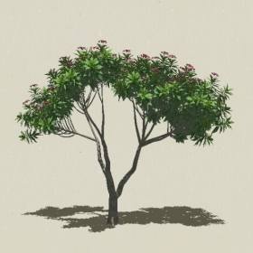 ��ľ��ľ-Sketchup��ͼ��ʦEnscape����ģ��2022051161