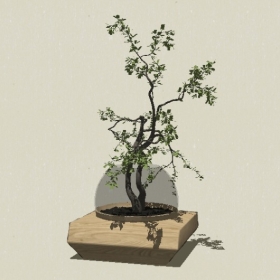 ����-Sketchup��ͼ��ʦEnscape����ģ��20220511100