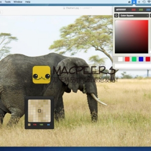 Pochade for mac 2.1.4 屏幕颜色选取器