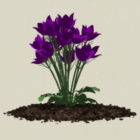 ����-Sketchup��ͼ��ʦEnscape����ģ��2022051166