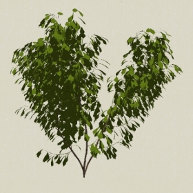 ��ľ-Sketchup��ͼ��ʦEnscape����ģ��20220511119