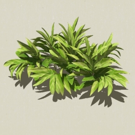 ��ľ-Sketchup��ͼ��ʦEnscape����ģ��2022051120