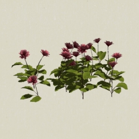 ����-Sketchup��ͼ��ʦEnscape����ģ��2022051193