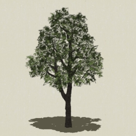 ��ľ-Sketchup��ͼ��ʦEnscape����ģ��20220511133