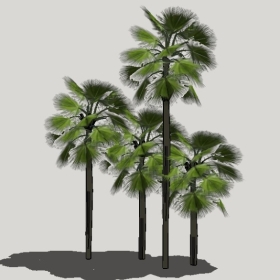 ���ֲ��_Enscape���ʲ�ͼ��ʦģ���������202204205538