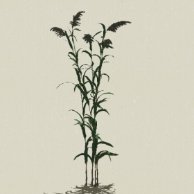 ��-Sketchup��ͼ��ʦEnscape����ģ��2022051178