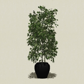 ����ֲ��-Sketchup��ͼ��ʦEnscape����ģ��20220511220