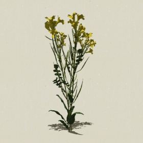 ����-Sketchup��ͼ��ʦEnscape����ģ��2022051149