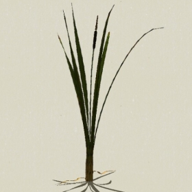 ��-Sketchup��ͼ��ʦEnscape����ģ��2022051177