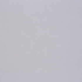 ƹשEʯCH6169  600X600MM