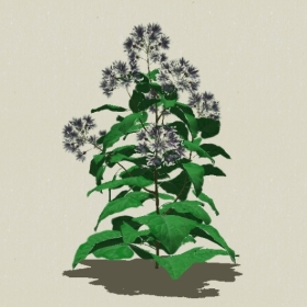 ����-Sketchup��ͼ��ʦEnscape����ģ��2022051116