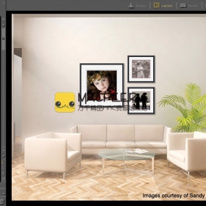 TimeExposure ProSelect Pro for mac 2016 R1.7 专业摄影展示和销售包装
