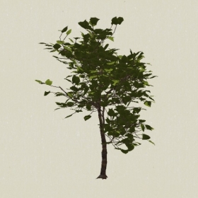 ��ľ-Sketchup��ͼ��ʦEnscape����ģ��2022051187