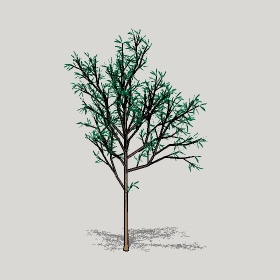 草图大师模型植物简模齐全2022年1245
