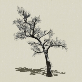 ��ľ-Sketchup��ͼ��ʦEnscape����ģ��20220511143