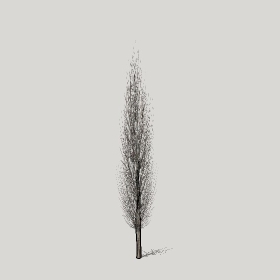 ͼʦģֲģȫ20221285