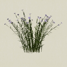 ����-Sketchup��ͼ��ʦEnscape����ģ��2022051187