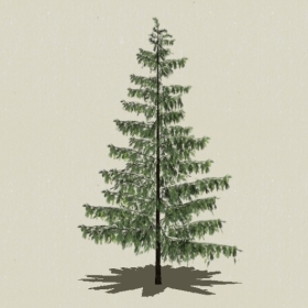 ��Ҷ��ľ-Sketchup��ͼ��ʦEnscape����ģ��2022051112