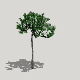 草图大师模型植物简模齐全2022年1231