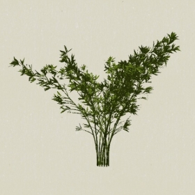 ��ľ-Sketchup��ͼ��ʦEnscape����ģ��2022051190