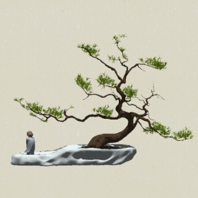 �辰ֲ��-Sketchup��ͼ��ʦEnscape����ģ��20220511117