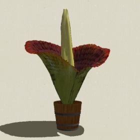 ����ֲ��-Sketchup��ͼ��ʦEnscape����ģ��20220511302