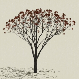 ��ľ��ľ-Sketchup��ͼ��ʦEnscape����ģ��2022051172