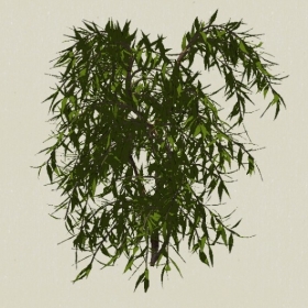 ��ľ-Sketchup��ͼ��ʦEnscape����ģ��20220511111