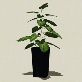 ����ֲ��-Sketchup��ͼ��ʦEnscape����ģ��20220511252