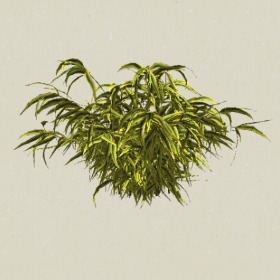 ��ľ-Sketchup��ͼ��ʦEnscape����ģ��20220511130