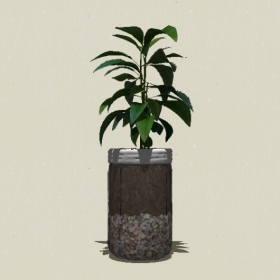 ����ֲ��-Sketchup��ͼ��ʦEnscape����ģ��20220511292