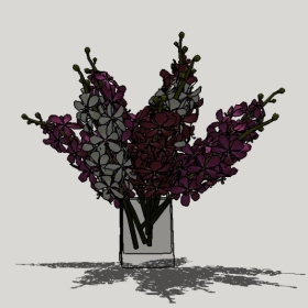 ����_Sketchup��ͼ��ʦģ��Enscape����22020426325