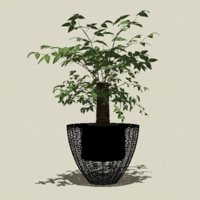 ����ֲ��-Sketchup��ͼ��ʦEnscape����ģ��20220511199