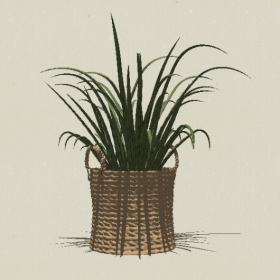 ����ֲ��-Sketchup��ͼ��ʦEnscape����ģ��20220511425