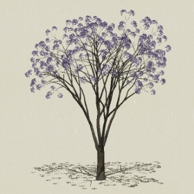 ��ľ��ľ-Sketchup��ͼ��ʦEnscape����ģ��2022051156