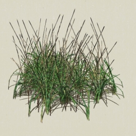 ��-Sketchup��ͼ��ʦEnscape����ģ��2022051136