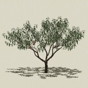 ��ľ��ľ-Sketchup��ͼ��ʦEnscape����ģ��2022051138