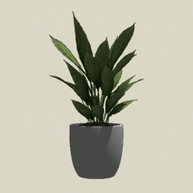 ����ֲ��-Sketchup��ͼ��ʦEnscape����ģ��20220511472