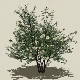 ��ľ��ľ-Sketchup��ͼ��ʦEnscape����ģ��202205114