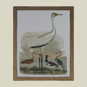 װ�λ�-Sketchup��ͼ��ʦEnscape����ģ��20220511135