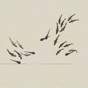 ǽ�ι���-Sketchup��ͼ��ʦEnscape����ģ��2022051134