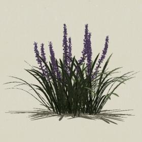 ����-Sketchup��ͼ��ʦEnscape����ģ��20220511116