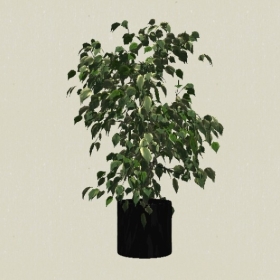 ����ֲ��-Sketchup��ͼ��ʦEnscape����ģ��20220511449