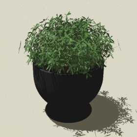 ����ֲ��-Sketchup��ͼ��ʦEnscape����ģ��20220511106