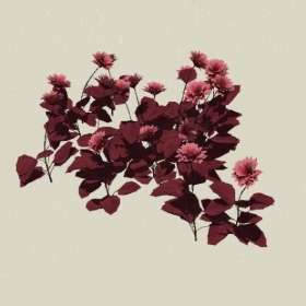 ����-Sketchup��ͼ��ʦEnscape����ģ��20220511105