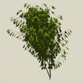 ��ľ-Sketchup��ͼ��ʦEnscape����ģ��2022051182