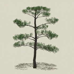 ��Ҷ��ľ-Sketchup��ͼ��ʦEnscape����ģ��2022051149