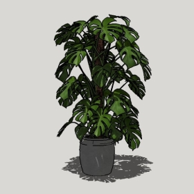 ����ֲ��_Sketchup��ͼ��ʦģ��Enscape����22020426542