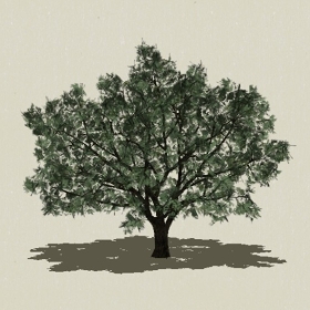 ��ľ-Sketchup��ͼ��ʦEnscape����ģ��2022051162